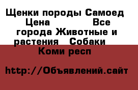 Щенки породы Самоед › Цена ­ 20 000 - Все города Животные и растения » Собаки   . Коми респ.